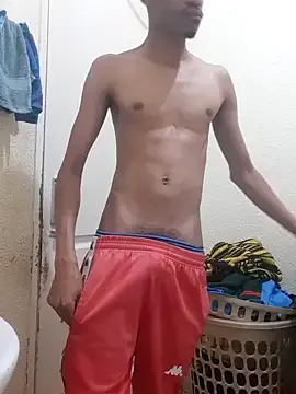 gemini_loops Image 11