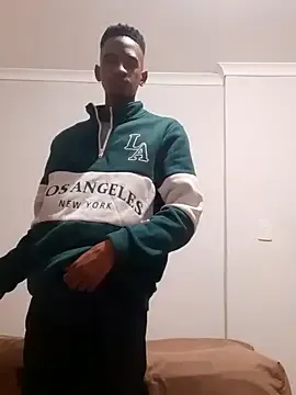 gemini_loops Image 12