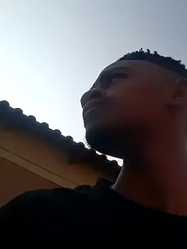 gemini_loops Image 13