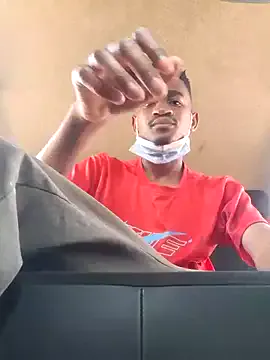 gemini_loops Image 14