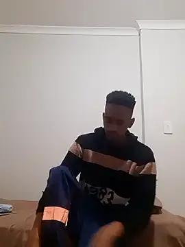 gemini_loops Image 18